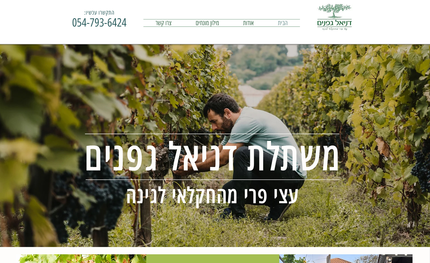 Website development with unique design
