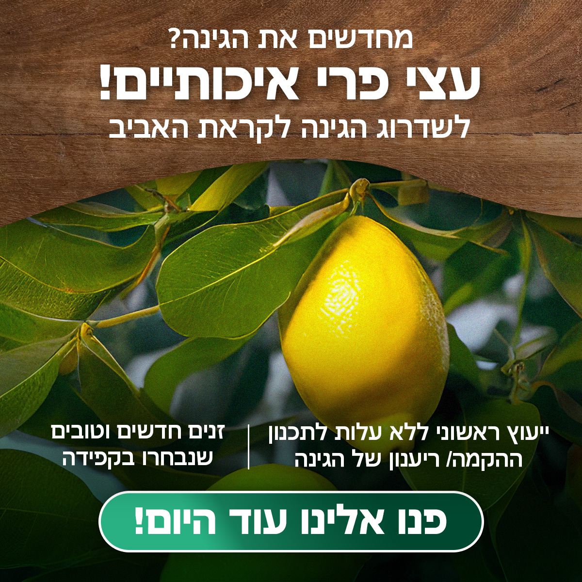 Additional Social Media Campaign Example 16